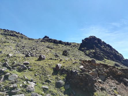d0154054_16199.jpg