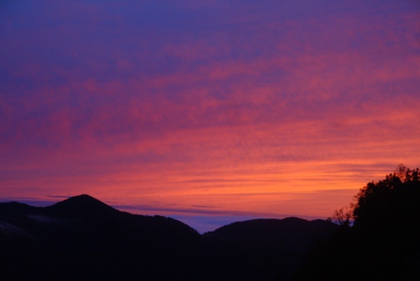 b0319255_11324579.jpg