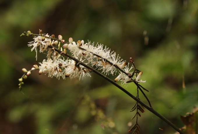 a0248459_14133495.jpg