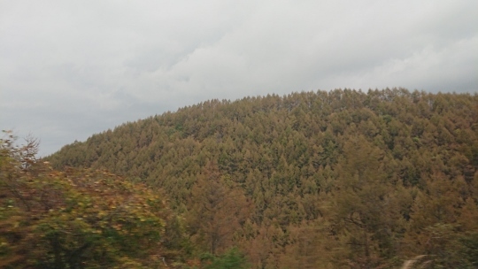 c0328559_16501562.jpg