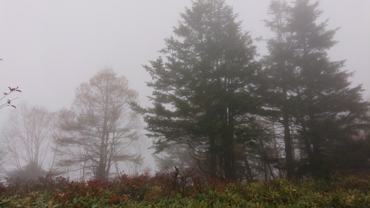 c0328559_17210200.jpg