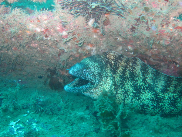 f0164662_00294910.jpg
