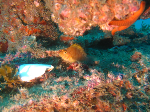 f0164662_00295887.jpg
