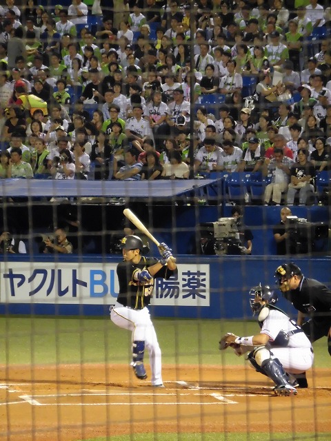 a0347778_1129734.jpg