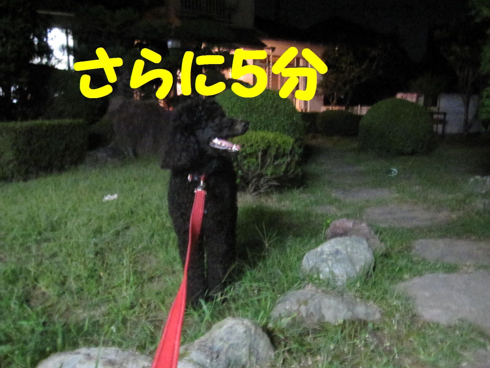 c0283778_11514941.jpg