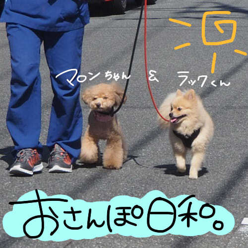 いざお散歩へ♪♪_f0357682_13061285.jpg