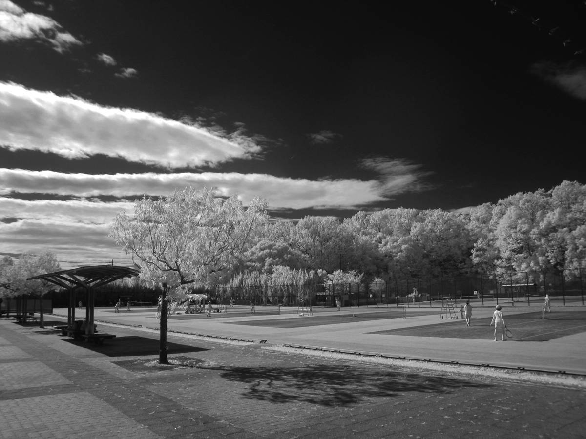 f0159784_12451157.jpg