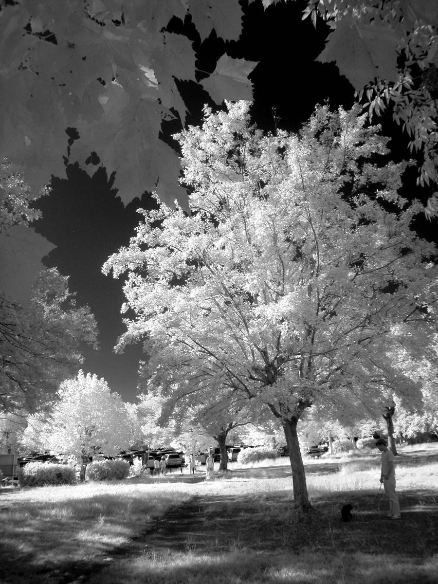 f0159784_12454054.jpg