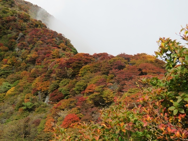 三俣山の紅葉は？12日_f0357487_23353193.jpg