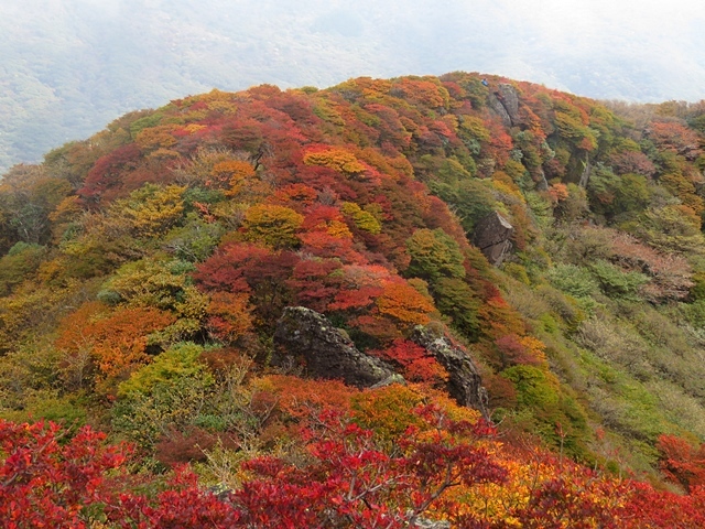 f0357487_23360230.jpg