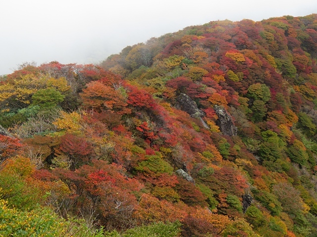 三俣山の紅葉は？12日_f0357487_23371486.jpg