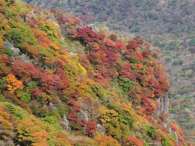 三俣山の紅葉は？12日_f0357487_23392428.jpg