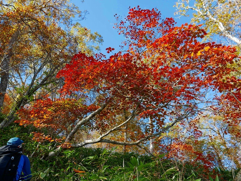 風不死岳北尾根、2018.10.13ー速報版ー_f0138096_21034237.jpg