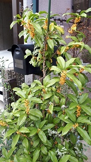 b0366199_01025867.jpg