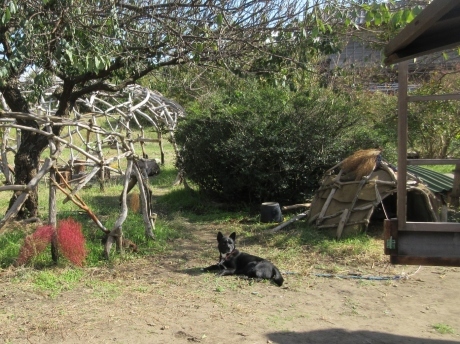 a0203003_17122443.jpg
