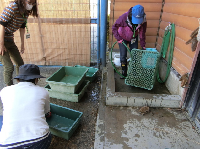 女性限定一日飼育員体験を実施しました。_c0290504_11345419.jpg