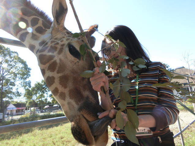 女性限定一日飼育員体験を実施しました。_c0290504_11354708.jpg