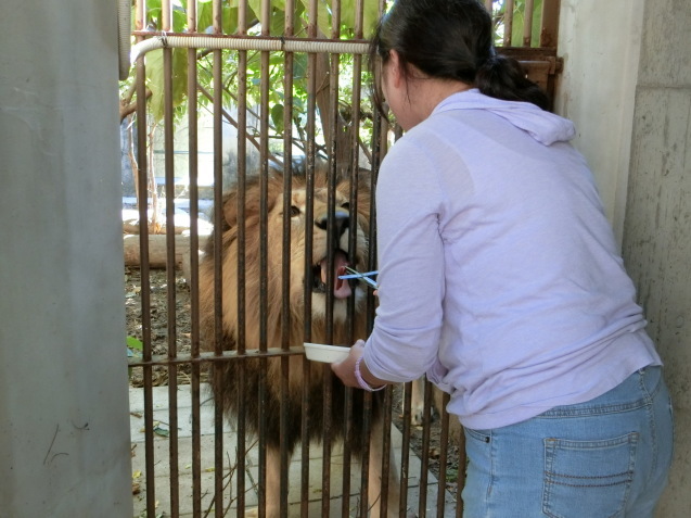 女性限定一日飼育員体験を実施しました。_c0290504_11414739.jpg