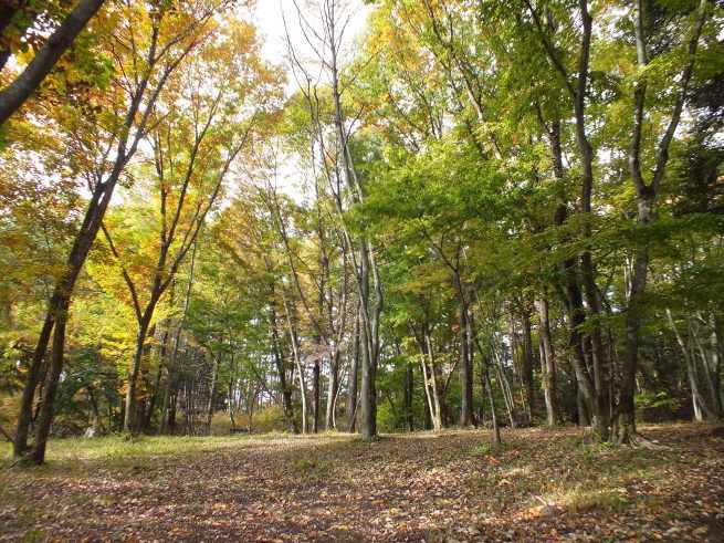 f0006208_08513991.jpg