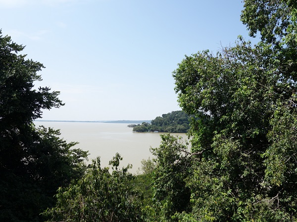 d0360509_045442.jpg