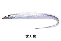 e0360409_12042850.jpg