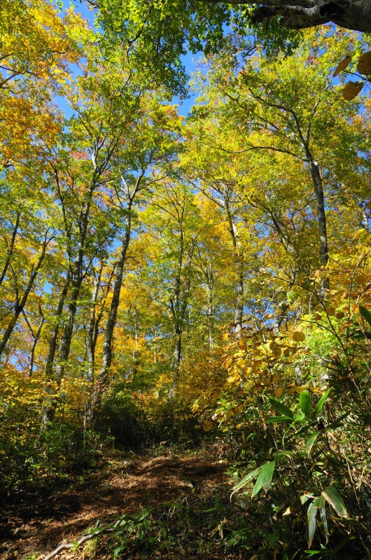 d0359010_11055790.jpg