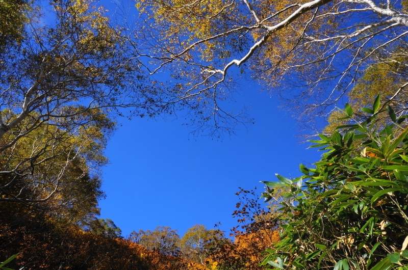 ちょっと遠くまで・・・（妙高山）_d0359010_11063282.jpg