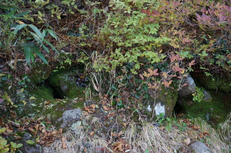 d0359010_12065808.jpg