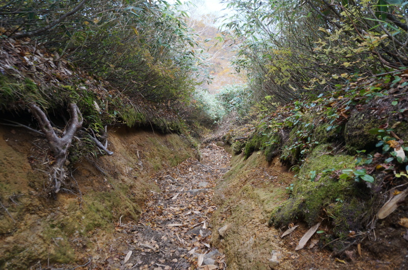 d0359010_12072820.jpg