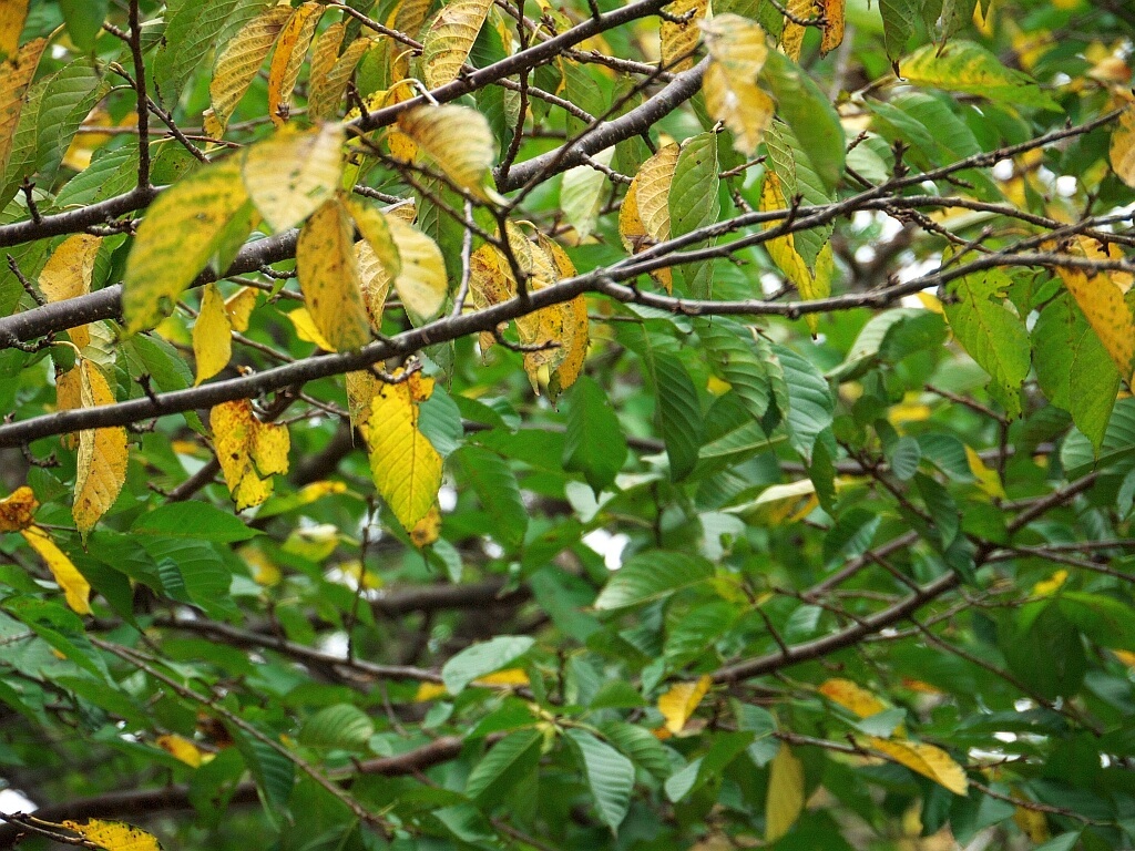 e0364711_01574548.jpg