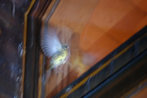 b0189415_08584752.jpg