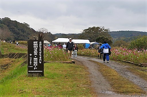 地域力の結集「コスモスフェステバル」_b0275715_21062772.jpg