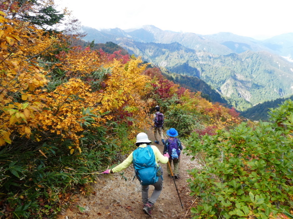 三方岩岳下山　ふくべ谷上園地展望台新コース散策　_d0170615_16481272.jpg