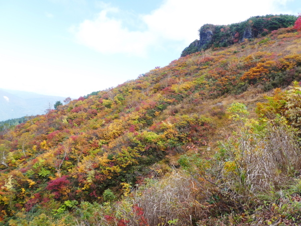 三方岩岳下山　ふくべ谷上園地展望台新コース散策　_d0170615_16482315.jpg