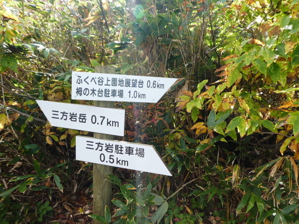 三方岩岳下山　ふくべ谷上園地展望台新コース散策　_d0170615_16495376.jpg