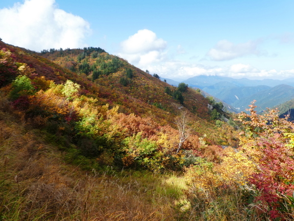 三方岩岳下山　ふくべ谷上園地展望台新コース散策　_d0170615_16503845.jpg