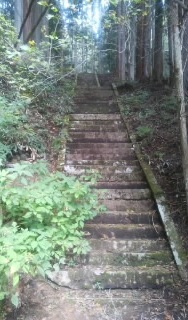 e0143915_15403727.jpg