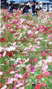 f0000521_23033751.jpg