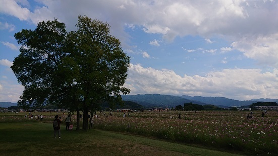 f0000521_23093027.jpg