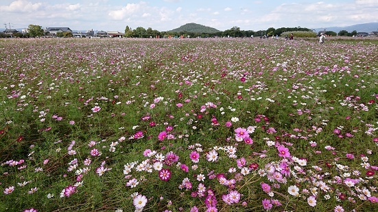 f0000521_23132968.jpg