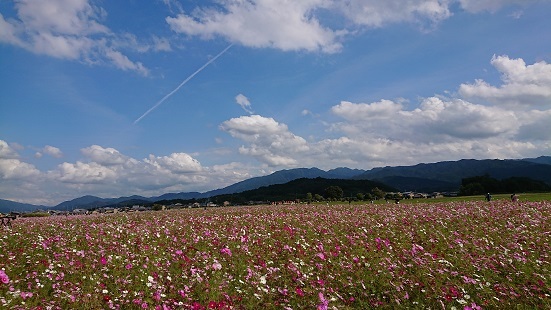 f0000521_23165436.jpg