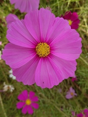 f0000521_23233486.jpg