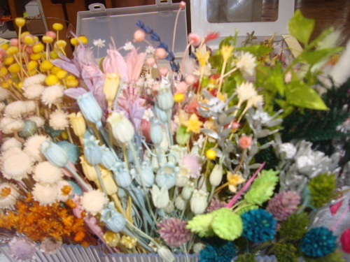 f0286925_20481574.jpg
