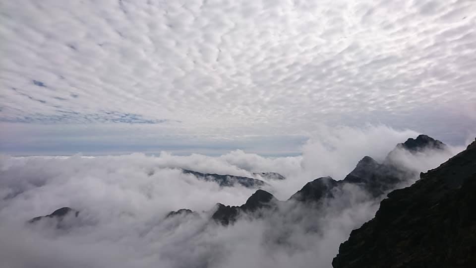 d0161928_23505797.jpeg