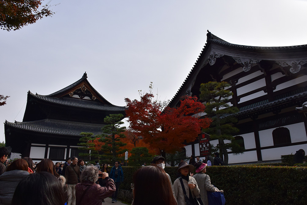 幕末京都逍遥 その164 「東福寺」_e0158128_13112666.jpg