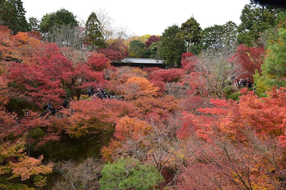 幕末京都逍遥 その164 「東福寺」_e0158128_13232514.jpg