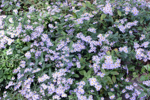 c0107129_02114940.jpg