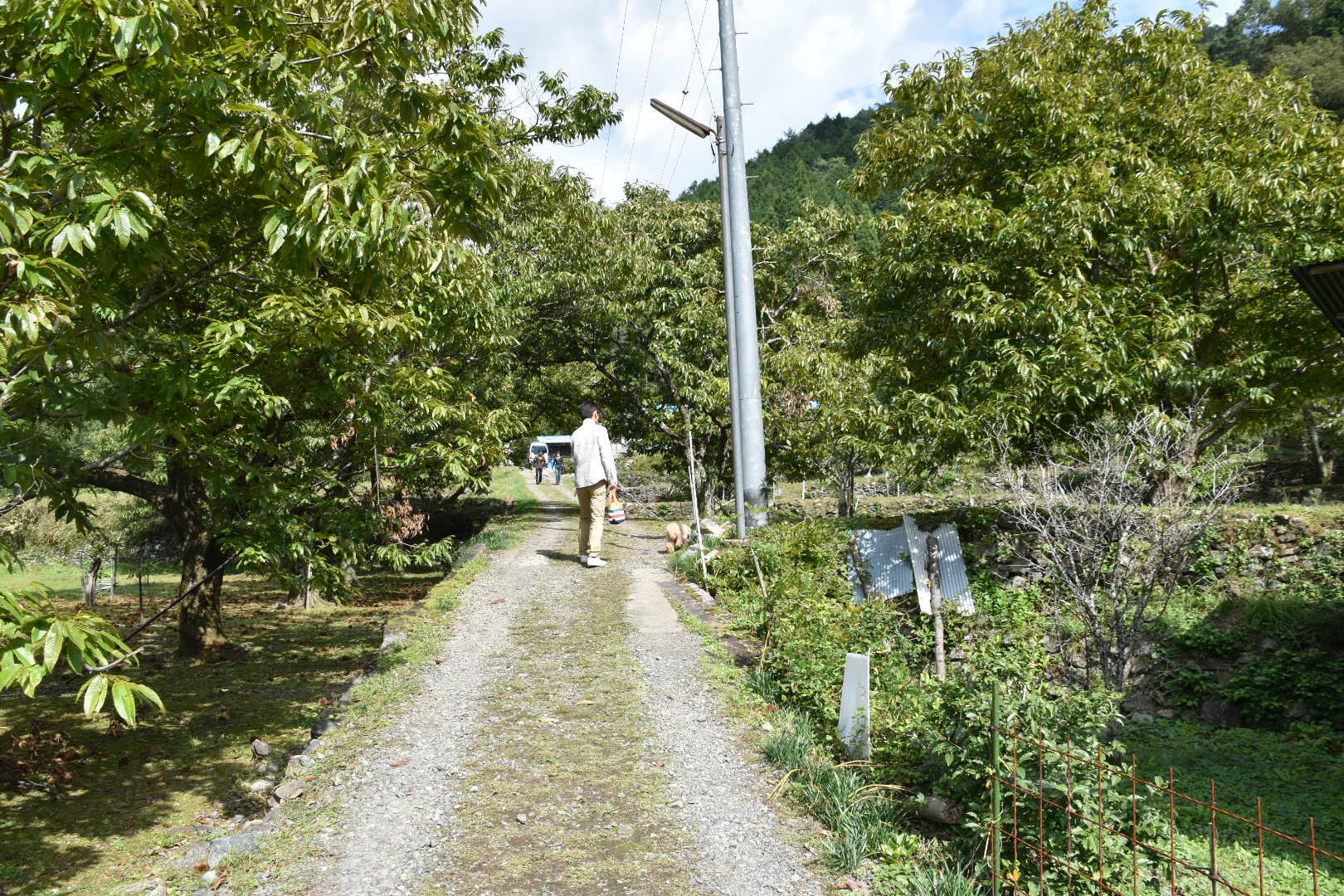 d0387831_17093138.jpeg