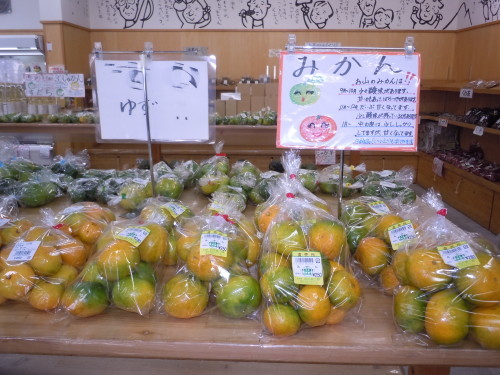 f0227432_10263700.jpg