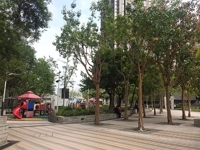 f0371533_22025914.jpg